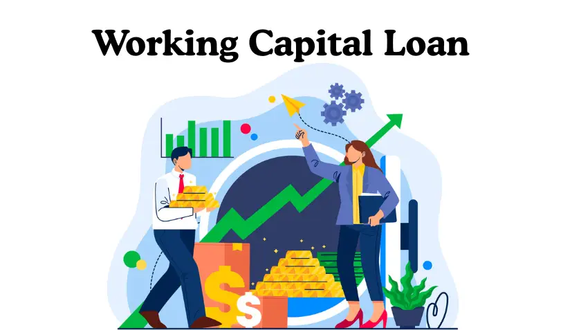 Working Capital Loan without collateral